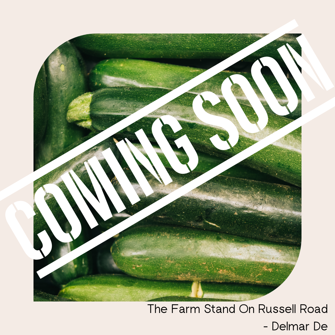 Zucchini Farm Fresh- Coming Soon!