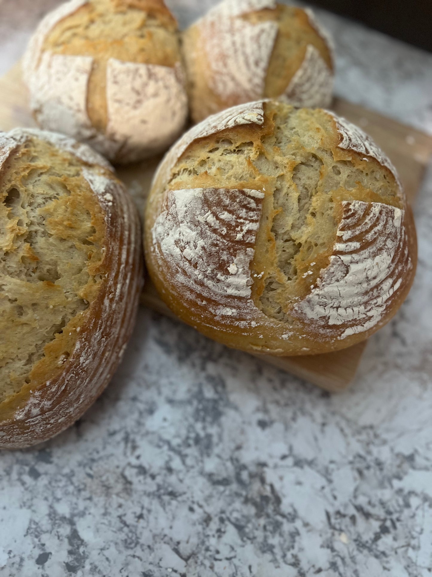 Regular Sourdough - Bread