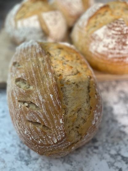 Regular Sourdough - Bread