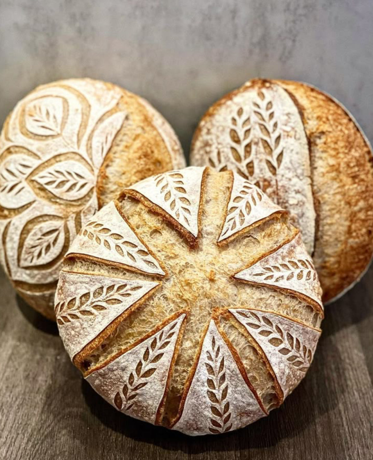 Regular Sourdough - Bread