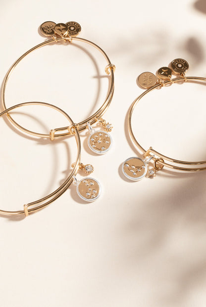 Scorpio Zodiac Charm Bangle