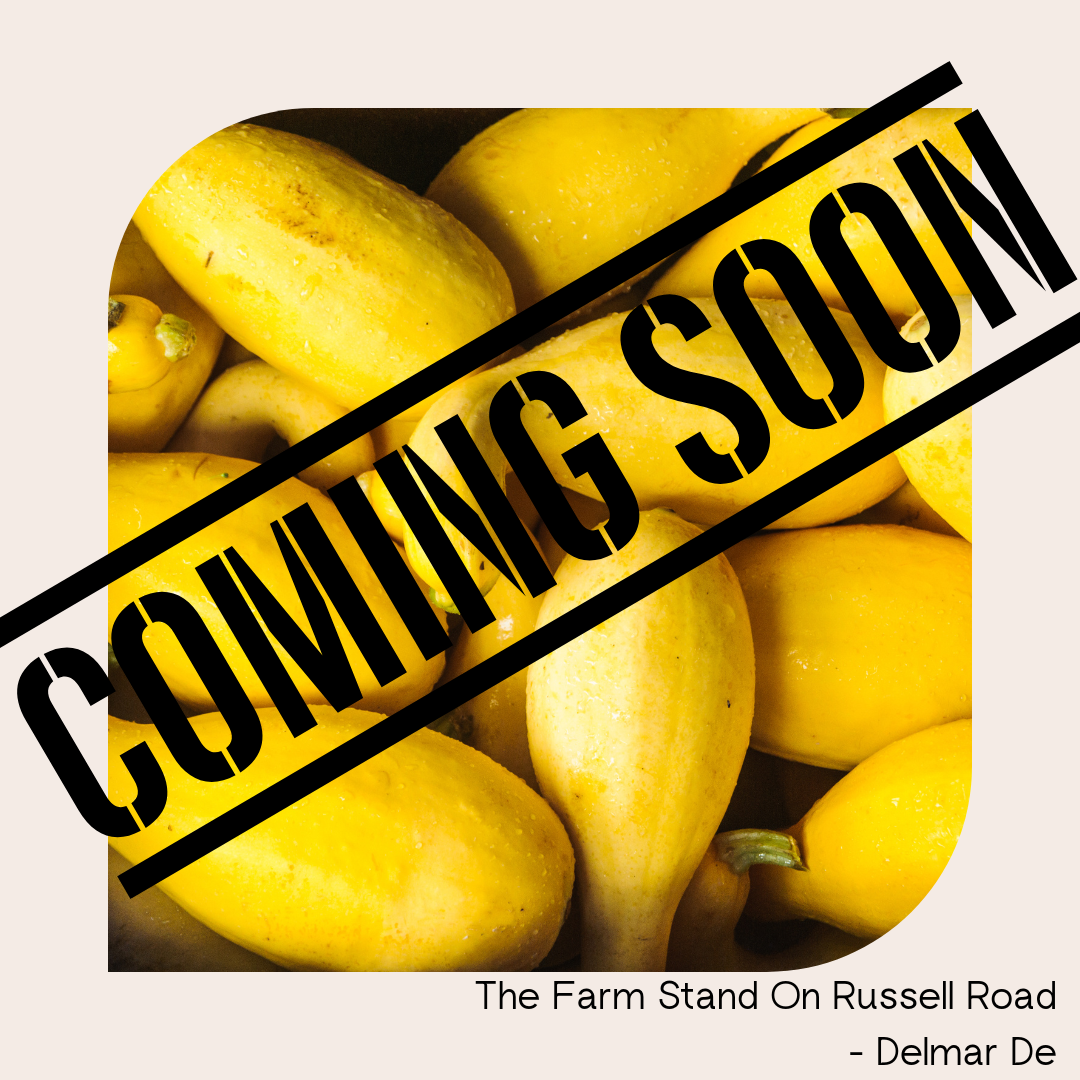 Squash Garden Fresh -COMING SOON