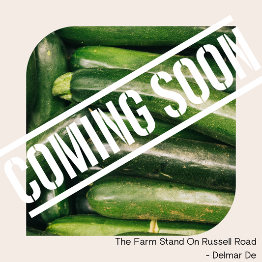 Zucchini Farm Fresh- Coming Soon!