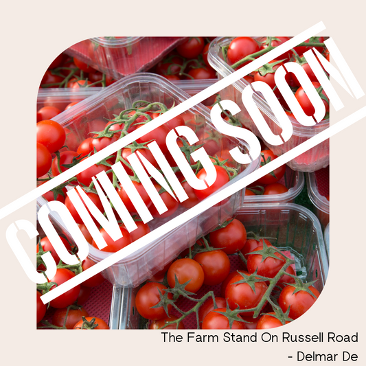 Cherry Tomatoes Farm Fresh  - Coming Soon !