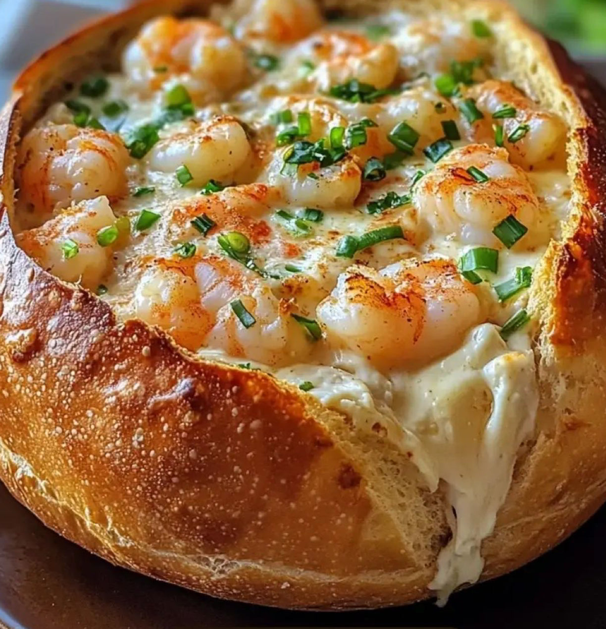 Old Bay & Cheddar Artisan Sourdough – Full & Half Size Loaves & Boules