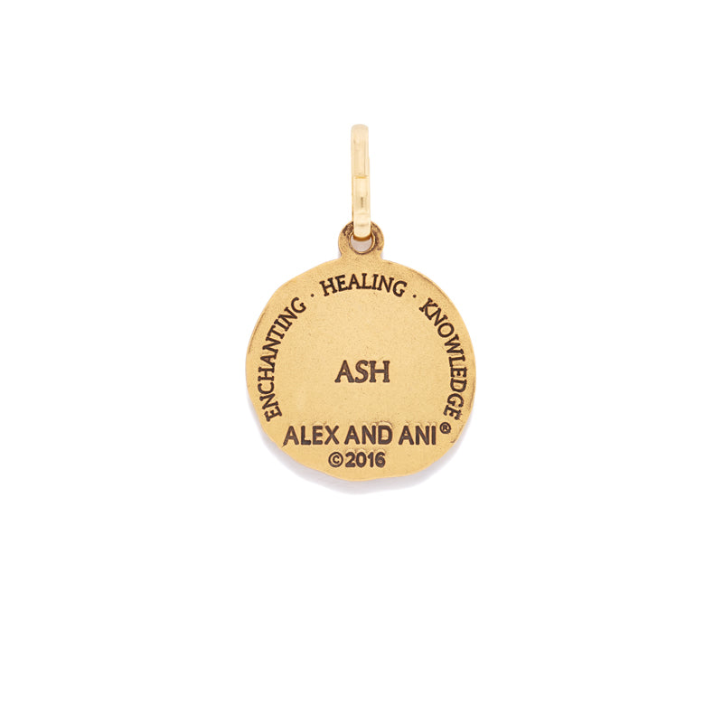 Ash Charm