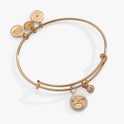 Gemini Zodiac Charm Bangle